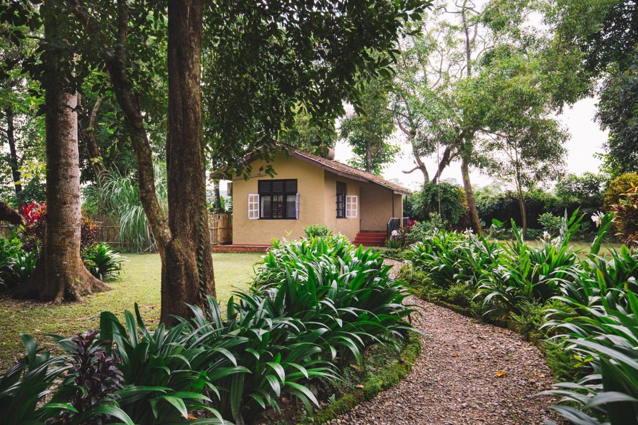 Green Mansions Jungle Resort Sauraha Extérieur photo
