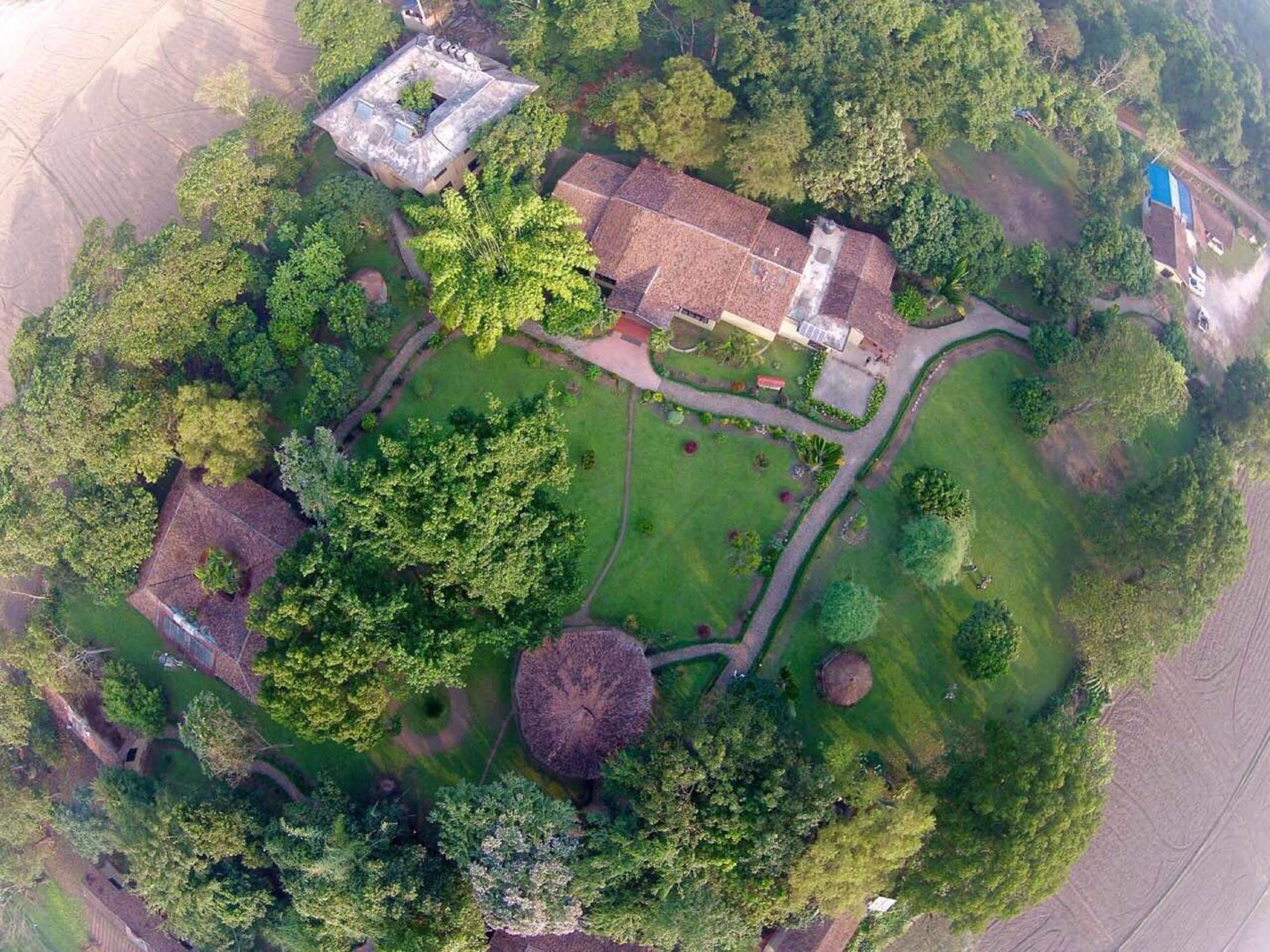 Green Mansions Jungle Resort Sauraha Extérieur photo